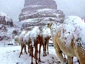 Suudi Arabistan'da çöle aniden kar yağdı!