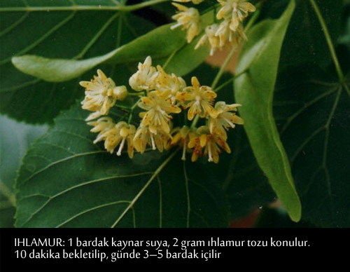 GRİP VE NEZLEYE KARŞI BİRE BİR TARİFLER 11