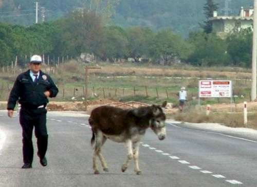 YURDUM İNSANI YİNE İŞ BAŞINDA 37