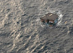 Tsunami enkazı, Amerika'ya ulaşabilir