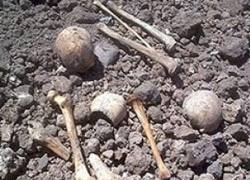 Kemiklerle ilgili rapor açıklandı