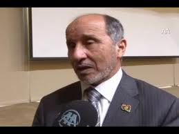 "Libya'da federal yapı düşünmüyoruz"