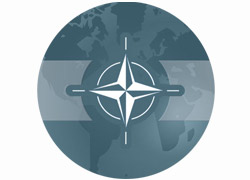 NATO'dan Kur'an özrü