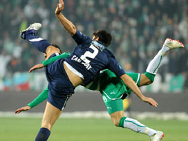 Timsah evinde galip
