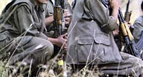 'Türkiye'de 1 milyon PKK'lı' iddiası