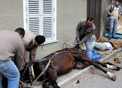 Büyükada'da fayton kazası
