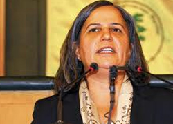 Kürtler sadece işlerine gelince Kürt!