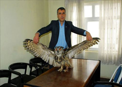2,5 metrelik baykuş görenleri şaşırttı