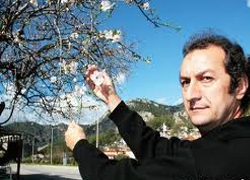 Fethiye'de badem ağaçları çiçek açtı