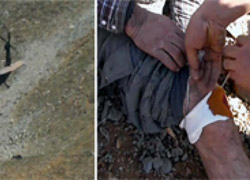 İşte Ovacık'ta yapılan operasyonun görüntüleri