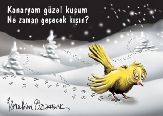 Karikatürlerle gündem