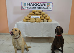 Araziye bırakılmış halde 48 kilo toz esrar bulundu 