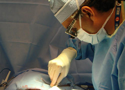 Organ ticaretine yönelik operasyonda 8 tutuklama