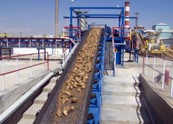 Doğal şeker için 'Şeker Platformu'