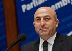 Çavuşoğlu, resmi temaslar için Türkiye'ye geliyor