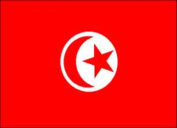 Tunus'ta bir işsiz kendisini yaktı