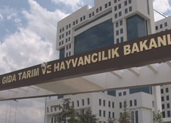 Üreticilere 68 Milyon TL Destek Ödemesi