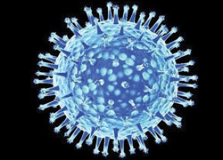 ABD'nin yeni biyolojik silahı: H5N1