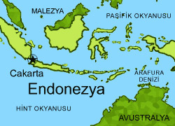 Endonezya'da göçmenleri taşıyan gemi battı