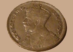 Tarlada Bulundu, 430 Bin Dolara Satıldı