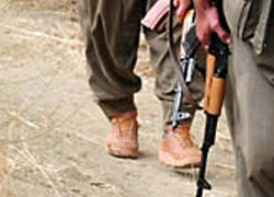 Terör Örgütü Telaş İçinde