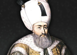 Kanuni'nin İç Organları Nerede?