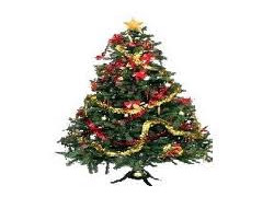 Güney ve Kuzey Kore arasında "Noel ağacı" polemiği