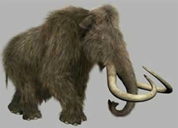 Japon ve Rus bilimadamları mamut klonlayacak