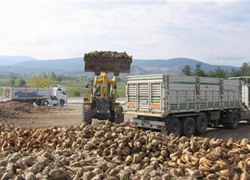Şeker fabrikaları özelleşiyor