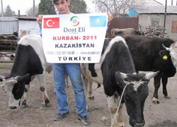 Van’a Dost eli!