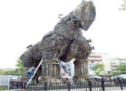 Troy Atı bakımda