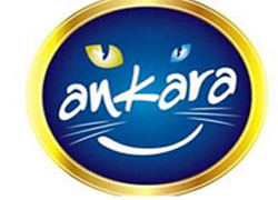 Ankara Büyükşehir, Dikmen Vadisi'nde harekete geçiyor