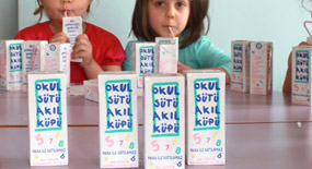 57 Bin Kutu Okul Sütü Boş Arazide Bulundu