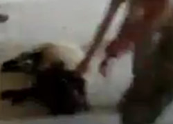 Askerden hayvana vahşet