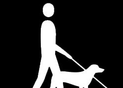 Görme engellilere yardımcı robot köpek geliştirildi
