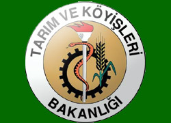 Gıda Bakanlığı 2500 personel almayı planlıyor