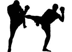 Kick boksta 13 madalya