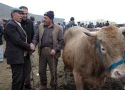 Kurbanlık fiyatlarında artış