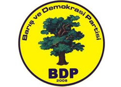 BDP binasını bastılar