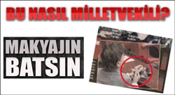 CHP'li vekil fena yakalandı