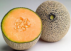 Listeria'dan ölenlerin sayısı 25'e çıktı