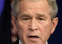"Bush'u tutuklamak için neden yok"