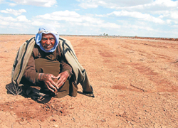 Güneydoğu'nun talihi değişiyor