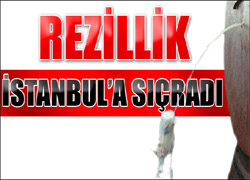 Bakanlık da ortak oldu