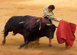 Barcelona arenasında son boğa güreşi