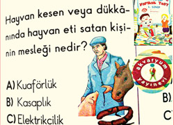 Yayınevinden domuzluk