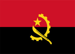 Angola'da askeri uçak düştü: 30 ölü