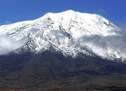 Ağrı Dağı'ndaki Bitkiler İlaç Olacak