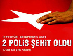 Neden Tunceli?