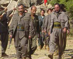 PKK'ya destek veren partiler var